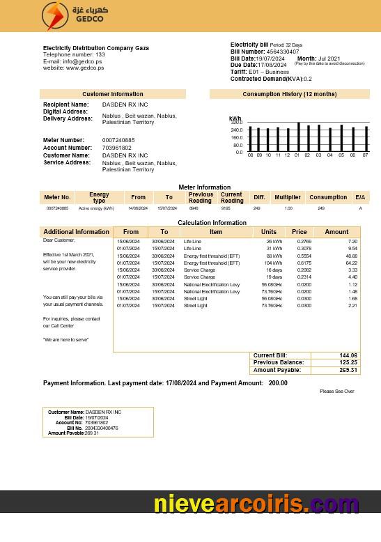Palestine Electricity Distribution Company Gaza (GEDCO) business utility bill